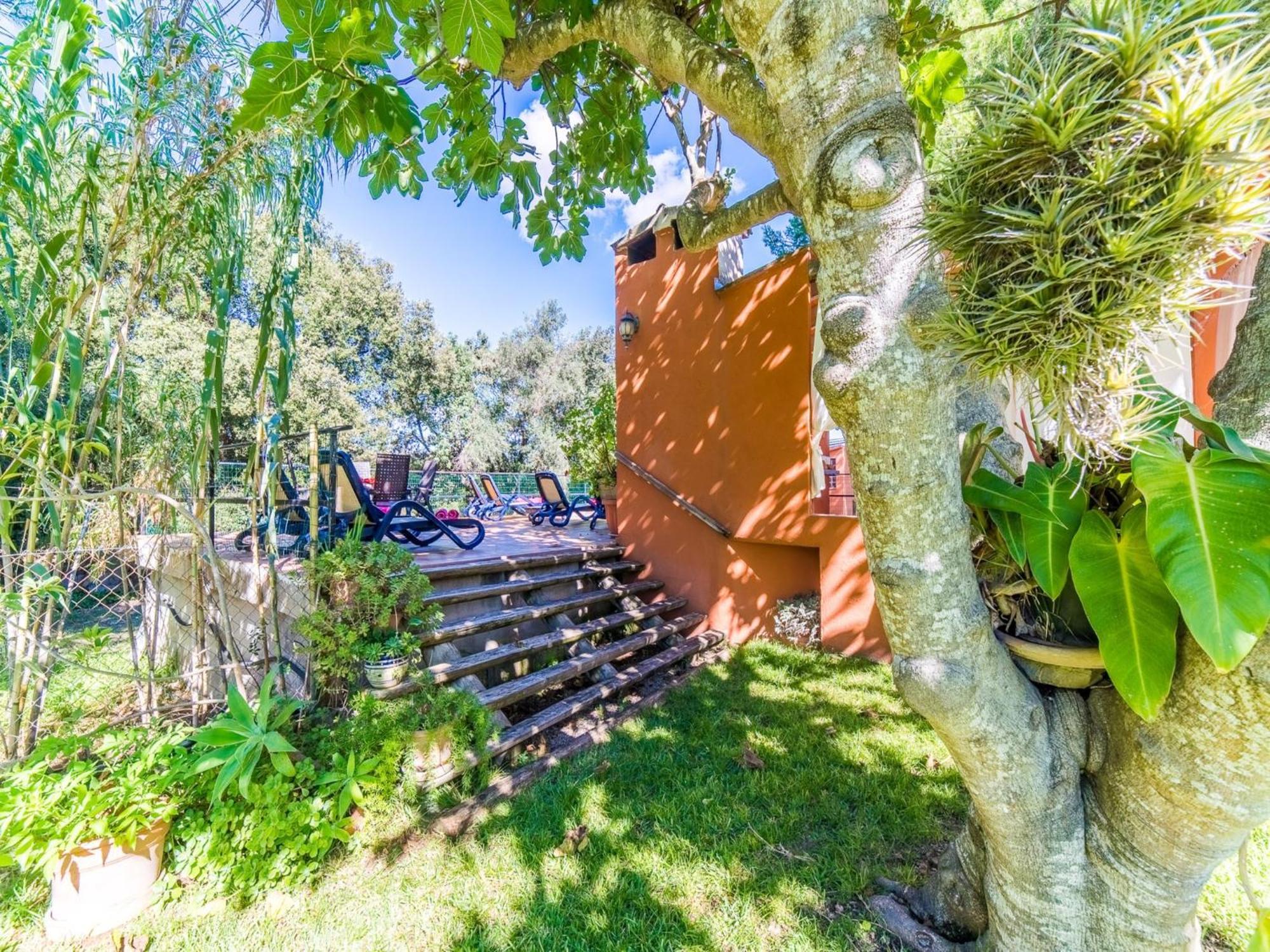 Finca In Mallorca With Private Pool Buger Exterior photo